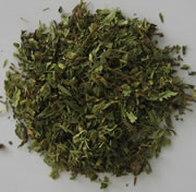 stevia-feuilles