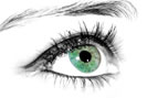 Bain oculaire euphraise - contre différents problèmes oculaires