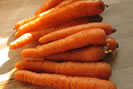 indice glycémique carotte