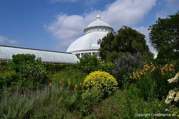 jardin-botanique-new-york-dome | Creapharma