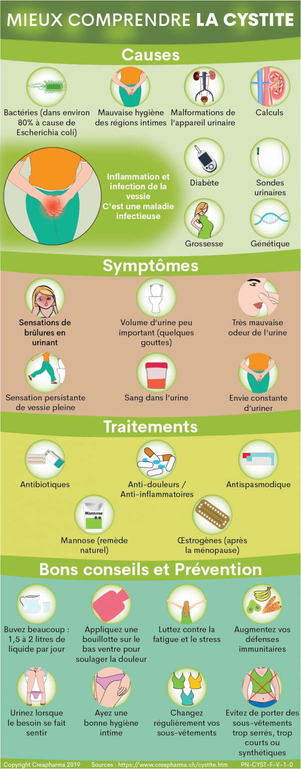 Cystite Causes Sympt Mes Traitements Creapharma