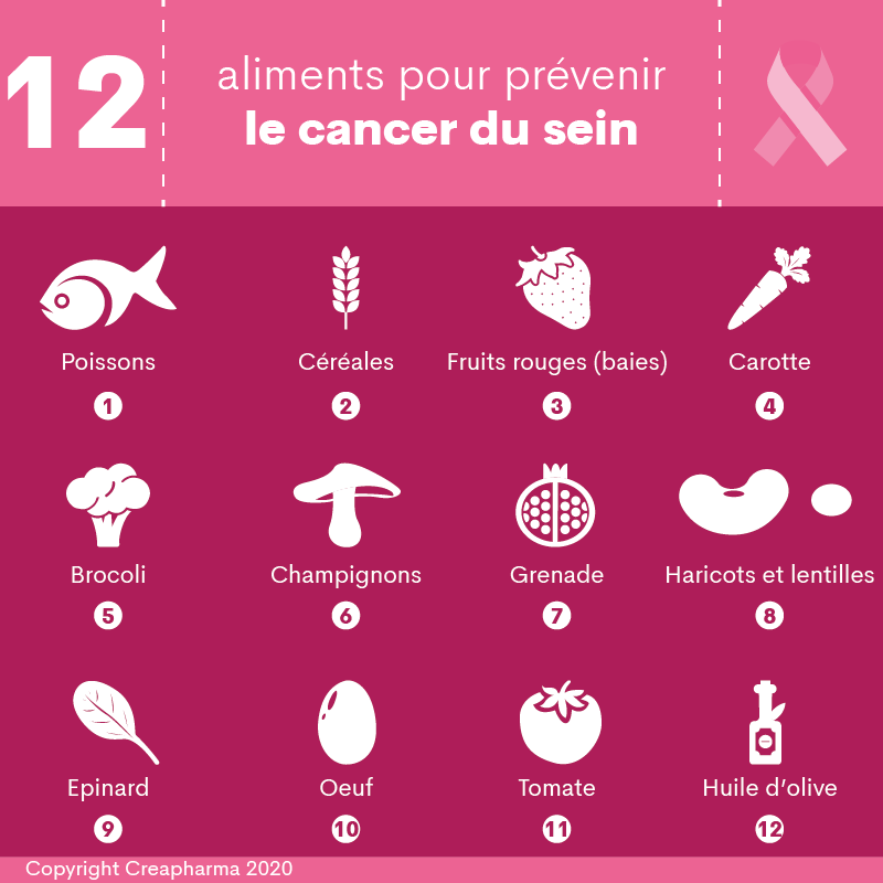 12 Aliments Pour Prévenir Le Cancer Du Sein Creapharma