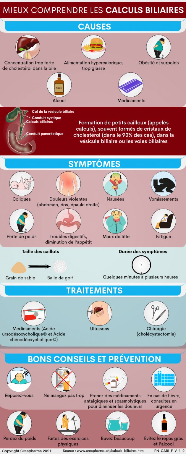 Calculs Biliaires : Causes, Symptômes & Traitements | Creapharma