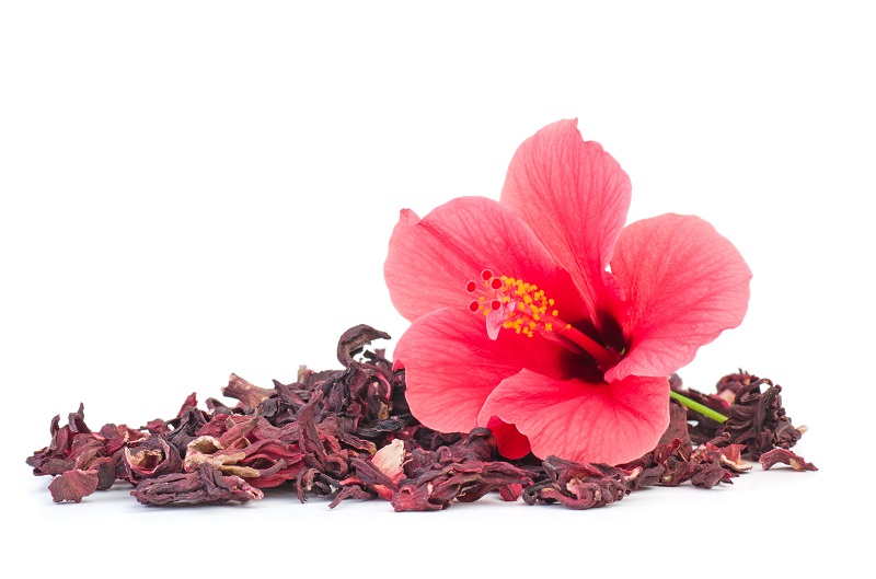 Fleurs d'hibiscus à consommer
