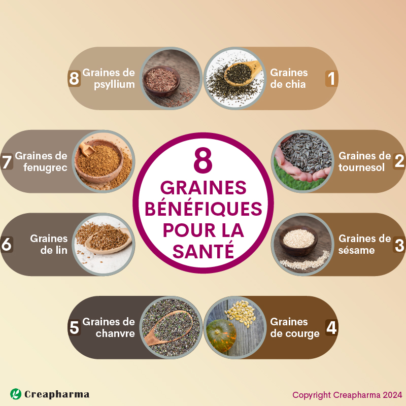 8 graines bénéfiques pour la santé